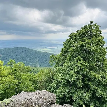 Derus Domb Vendeghazak Feriepark Szuha